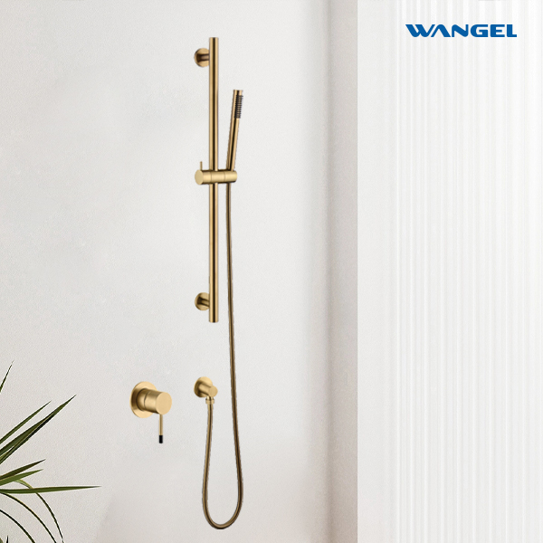 Brushed Gold Single-Spray Bathroom Shower - 图片 2