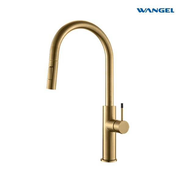 Brushed Gold Pull-Out Kitchen Faucet