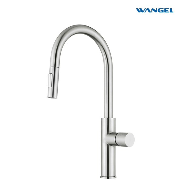 Wangel Brushed Stainless Steel Pull-Out Kitchen Faucet