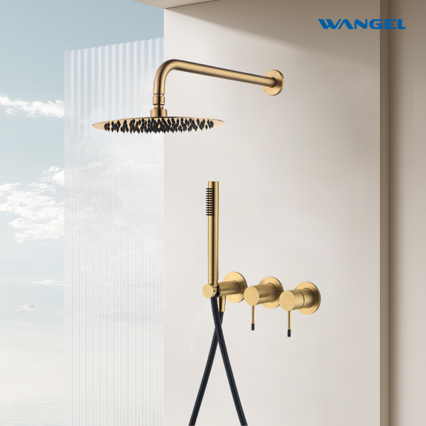 High-Quality Brushed Gold Two-Function Shower System - 图片 2