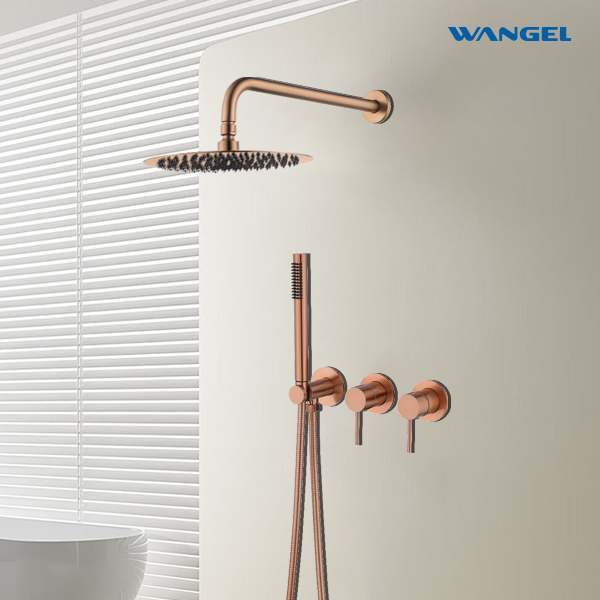 Modern Rose Gold Two-Function Shower System - 图片 2