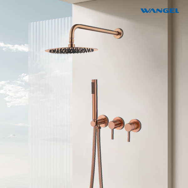 Modern Rose Gold Two-Function Shower System - 图片 3