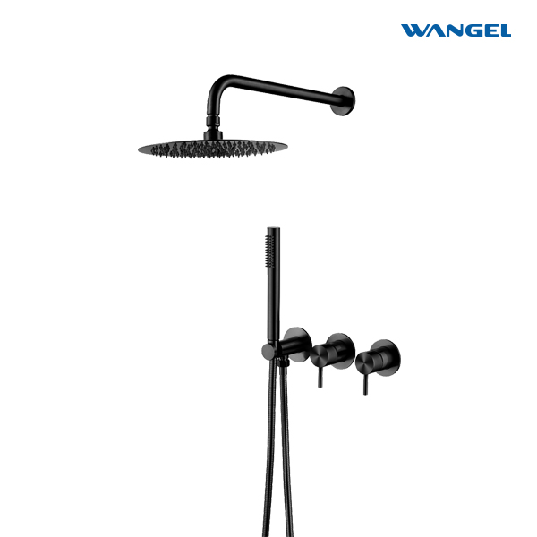 High-end Matte Black Dual-Function Shower System