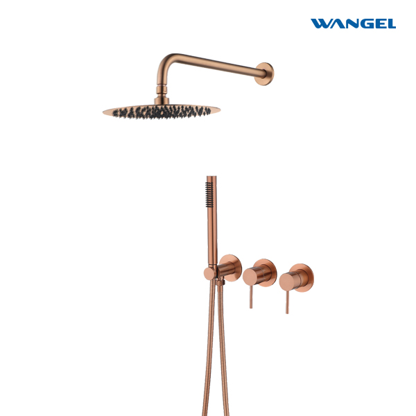 Modern Rose Gold Two-Function Shower System