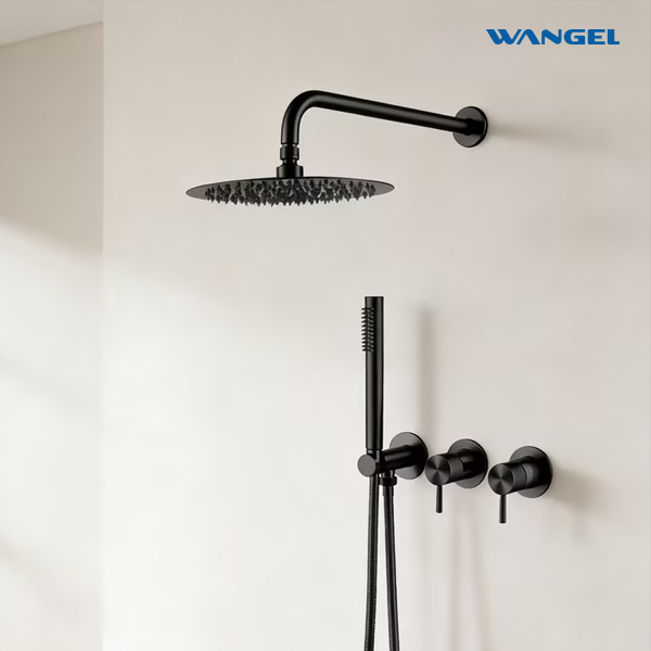 High-end Matte Black Dual-Function Shower System - 图片 2