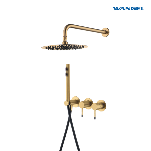 High-Quality Brushed Gold Two-Function Shower System