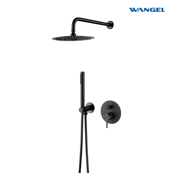 Modern Matte Black Dual-Function Shower System