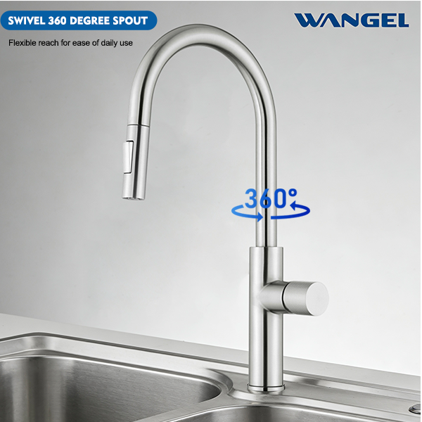 Wangel Brushed Stainless Steel Pull-Out Kitchen Faucet - 图片 2
