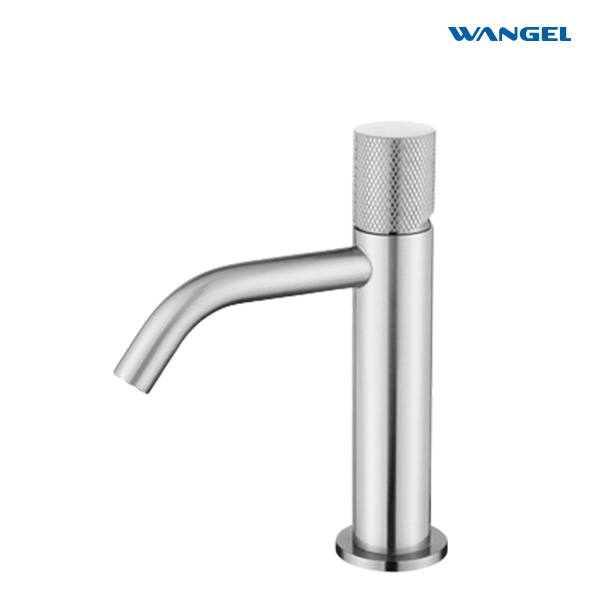 Wangel Brushed Stainless Steel Basin Faucet