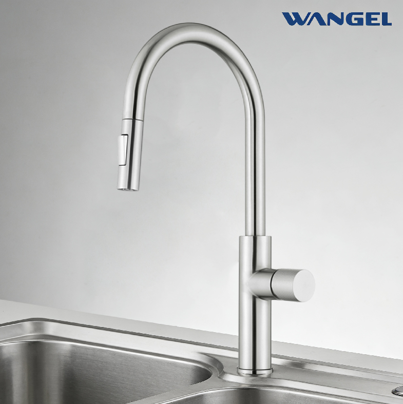 Wangel Brushed Stainless Steel Pull-Out Kitchen Faucet - 图片 3